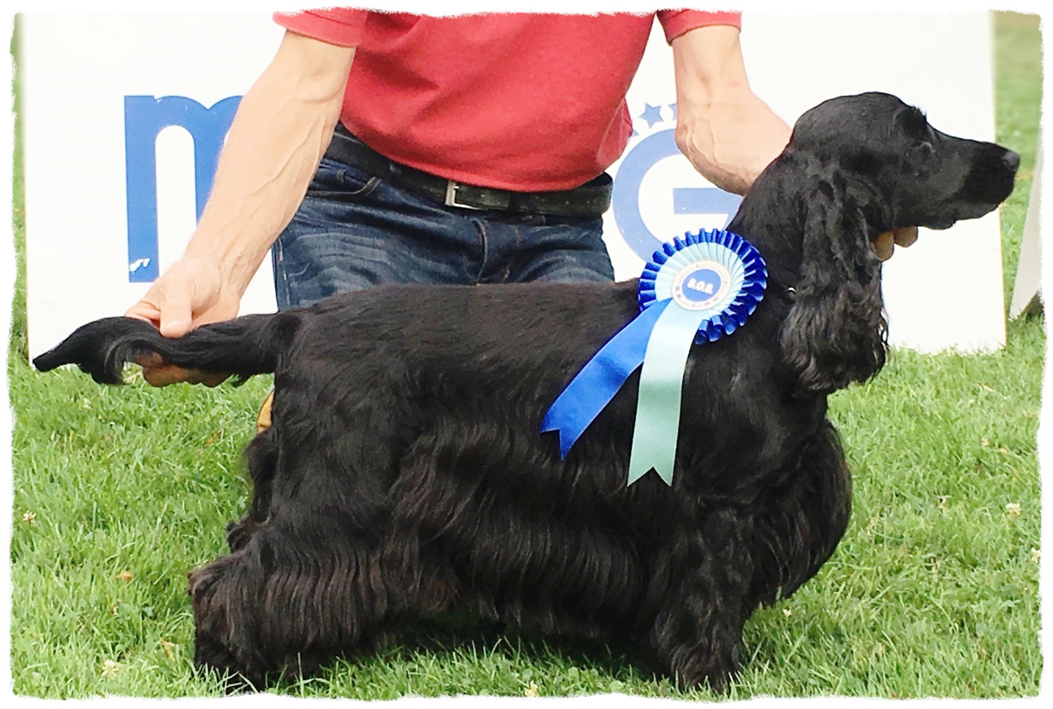 Amy di Casa Pecchiari