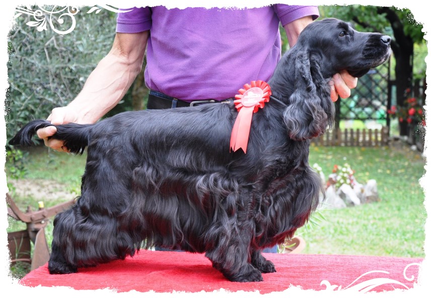 Amy di Casa Pecchiari