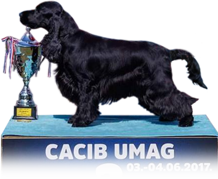 Amy di Casa Pecchiari